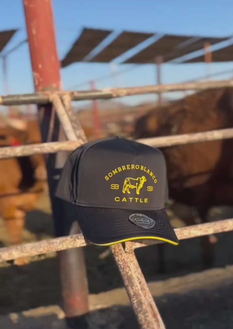 Cattle